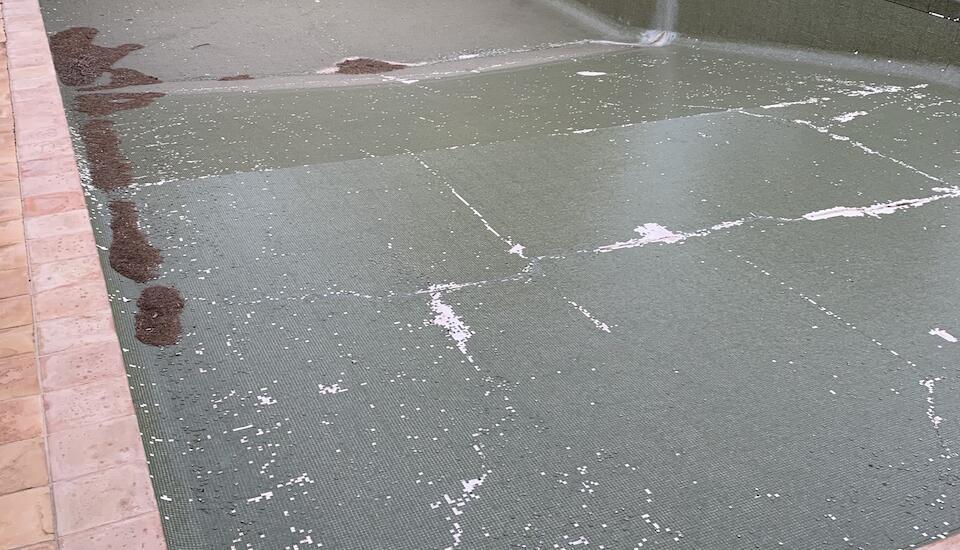 renovation piscine avant