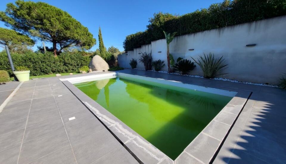 Rénovation de piscine avant